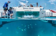 Culebra Snorkeling Tour by Catamaran from Fajardo