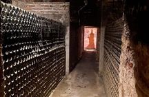 Private Tour Concha y Toro and Santa Rita Wineries