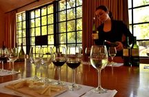 Private Tour Concha y Toro and Santa Rita Wineries