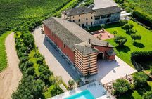 Vineyard tour with tasting of 4 wines on Garda Hills