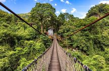 Xiao Wulai Skywalk & Dessert Factory Day Tour