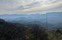 Private Half Day Bird Watching Experience