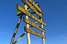  Mount Kilimanjaro Private Tour by Hiking
