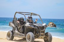 Beach UTV and Horseback Riding in Cabo