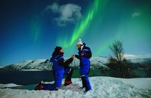 Tromsø Fjordland Aurora Chase Northern Lights by the Arctic Sea