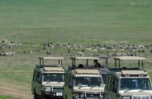 4 Days Private Arusha Safari Tour