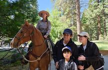 The Evolution of Yosemite: 5-Hour Hiking Tour