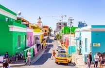 Half Day Cape Point and Boulders Beach Penguin Group Tour