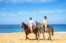 Cabo Tour Mexico Camel and Horseback Ride with ATV Adventure