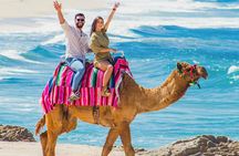 Cabo Tour Mexico Camel and Horseback Ride with ATV Adventure