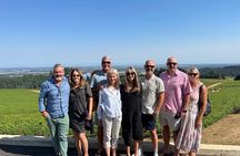 Private Oregon Wine Tour - Bring Up To 10 People - Three Wineries