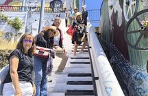 Valparaíso Full-Day Private Tour with Wine Tasting