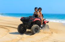 Combo 4x4 Automatic ATV and Camel Ride Tour in Cabo San Lucas