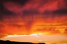 The Premier Naturalist Tours in Phoenix and Tucson