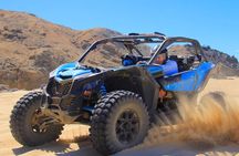  Cabo San Lucas Playa Migrino Adventure Tour