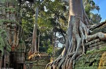 Full-Day Guided Sunset Tour of Angkor Wat