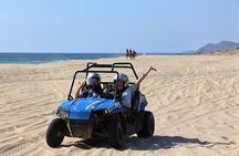 Beach and Desert Mini Razor Tour in Cabo