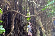 Efate Highlights: Village Walk, Coffee Tasting & Beach Chill