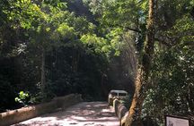 Wingfield Rainforest Hike St Kitts and Romney Manor Adventure