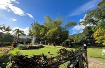 Two Islands One Paradise private Tour of St Kitts and Nevis