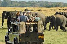Sri Lanka in 7 Days – Partial Advance, Pay Rest During Tour