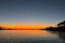 Dolphin cruise on the Choctawhatchee Bay