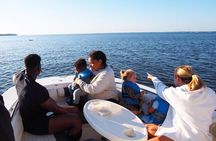 Dolphin cruise on the Choctawhatchee Bay