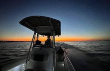 Dolphin cruise in Santa Rosa Beach