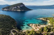 Golfo aranci : Dolphin spotting and snorkling in a dinghy