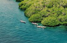 Bali Hai - Castaway Escape Cruise