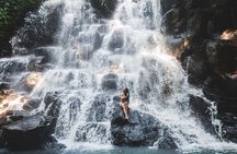 Bali Waterfalls and Monkey River Private Day Tour