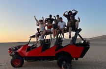 Paracas & Huacachina Oasis: Epic Full Day Guided Tour From Lima 