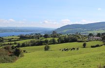 Inis Cealtra Tour eBike Ride and Boat Trip to Holy Island