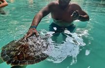 Zanzibar :Jozani Forest ,and Sea Turtles Sanctuary tour 