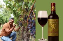 Cape Town: Signature Pinotage Experience – Private Wine Journey!