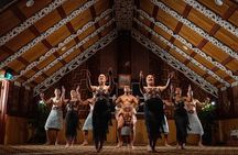 From Auckland: Te Puia Rotorua and Activity Combinations