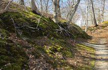  National Seashore Tour with Guided Hike