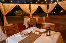 Dubai Desert Safari: The Nomad Garden & Dining by Marriott