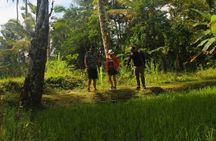 Ubud: Balinese Village Life, Organic Farm Dinner and Firefly Tour