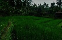 Ubud: Balinese Village Life, Organic Farm Dinner and Firefly Tour
