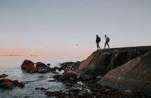 Archipelago Forest Bathing Escape – From City to Serenity