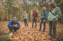 Canopy Tour at Haliburton Forest