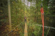 Canopy Tour at Haliburton Forest