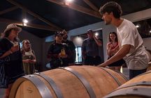 Half-Day Wine Tour in Margaux