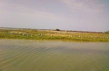  Senegal Highlights 8 Days / 7 Nights