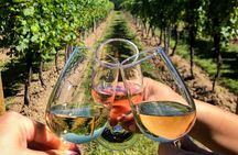 FOR CRUISERS:Kusadasi Port Private Wine Tasting and Ephesus Tour 