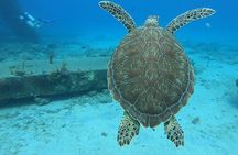 Brewers Bay Beach and Snorkel Adventure 