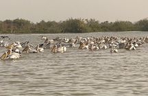 2-Days Thies, St Louis and Djoudj Park or “Langue de Barbarie" Safari from Dakar