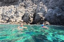 Turtle and Dolphin Watching Kayaking and Snorkeling Tour