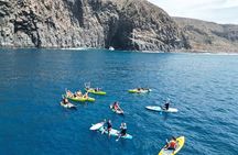 Turtle and Dolphin Watching Kayaking and Snorkeling Tour